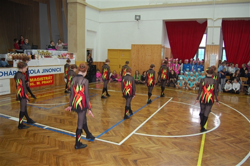 Obrázek v galerii