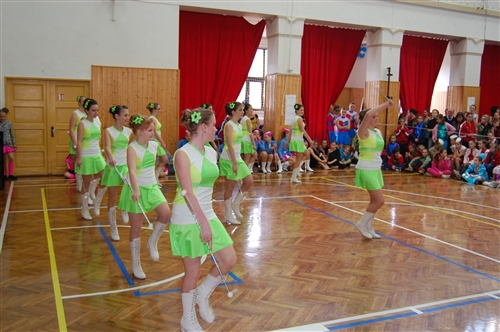 Obrázek v galerii