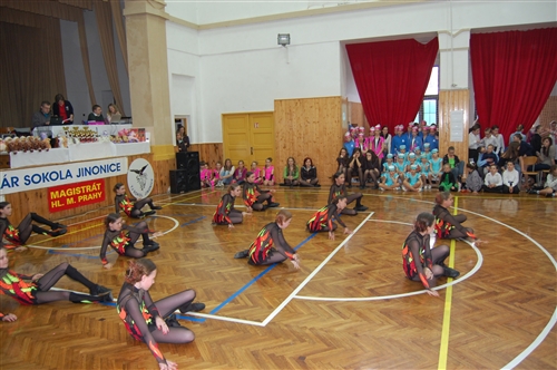 Obrázek v galerii