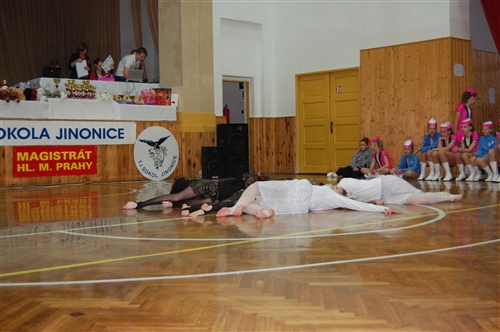 Obrázek v galerii
