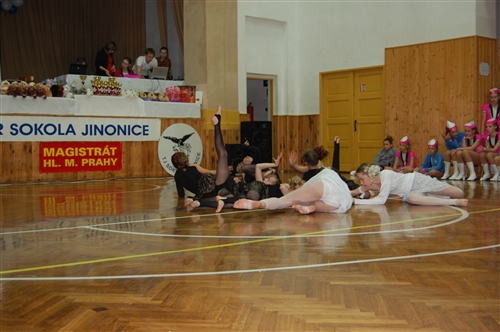 Obrázek v galerii