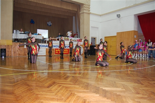 Obrázek v galerii