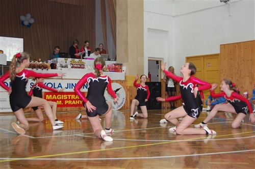 Obrázek v galerii