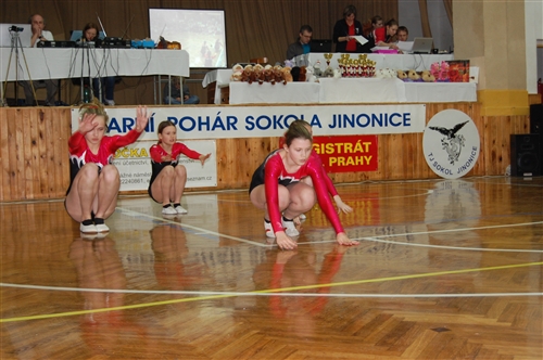 Obrázek v galerii