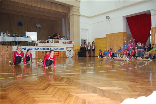 Obrázek v galerii