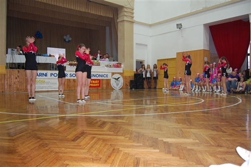 Obrázek v galerii