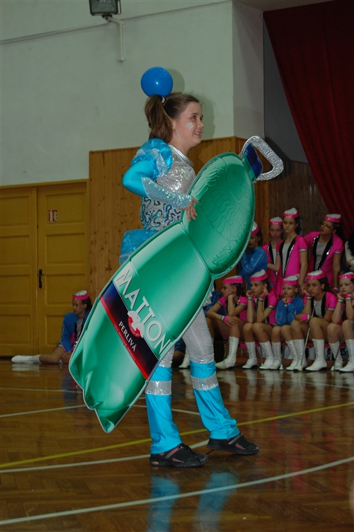 Obrázek v galerii