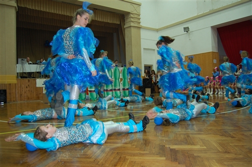 Obrázek v galerii