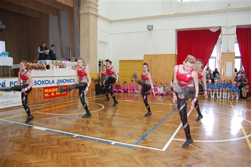 Obrázek v galerii