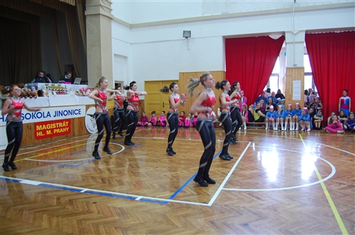 Obrázek v galerii