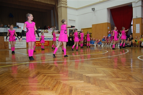 Obrázek v galerii