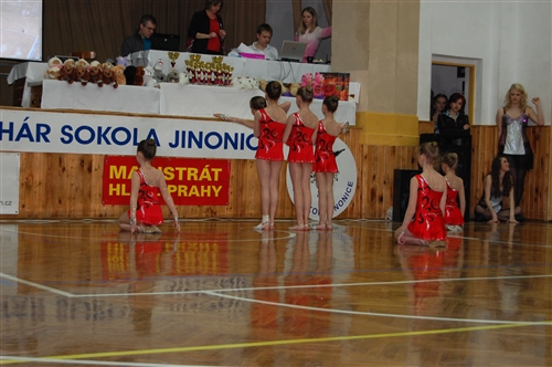 Obrázek v galerii