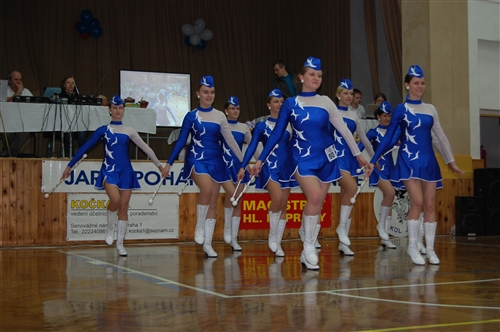 Obrázek v galerii
