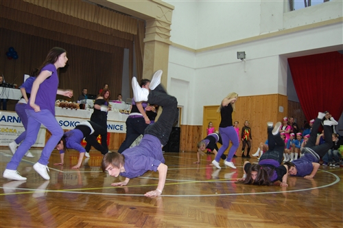 Obrázek v galerii