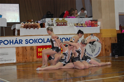 Obrázek v galerii