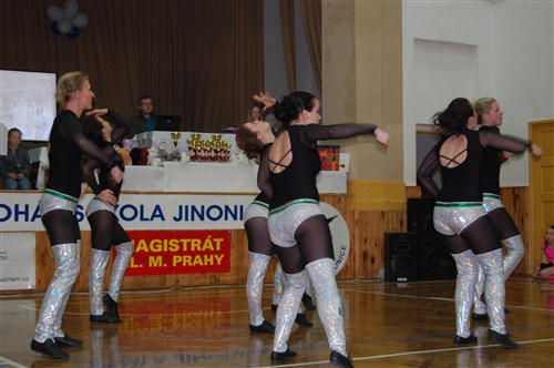Obrázek v galerii