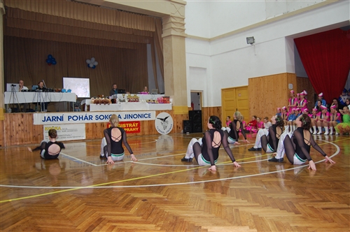 Obrázek v galerii