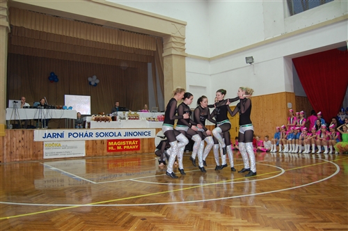 Obrázek v galerii
