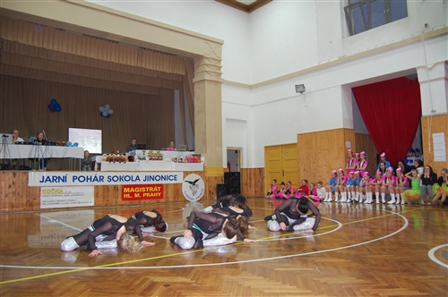 Obrázek v galerii