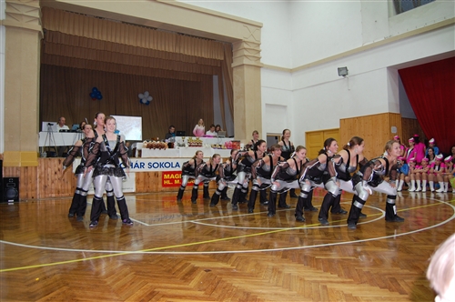 Obrázek v galerii