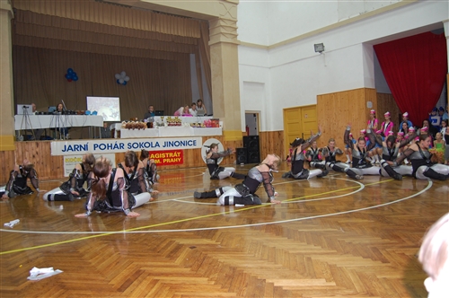 Obrázek v galerii