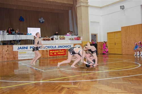Obrázek v galerii