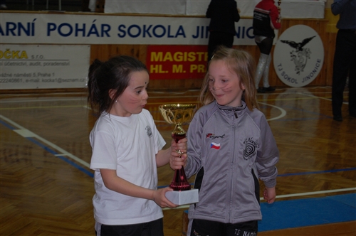 Obrázek v galerii
