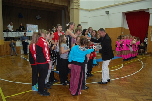 Obrázek v galerii