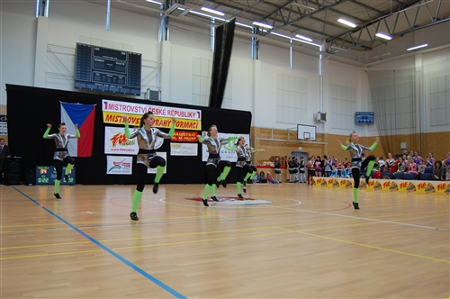 Obrázek v galerii