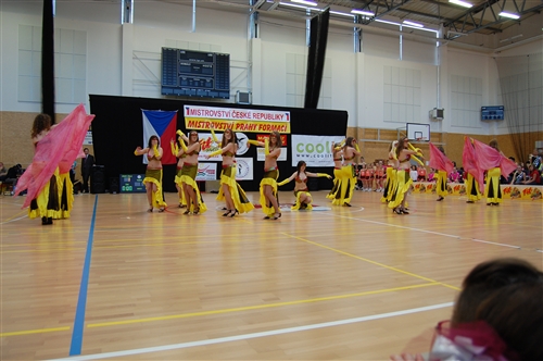 Obrázek v galerii