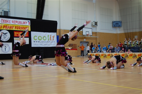 Obrázek v galerii