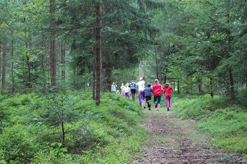 Obrázek v galerii