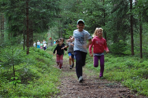 Obrázek v galerii