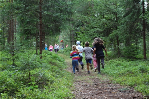 Obrázek v galerii