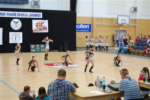 Obrázek v galerii