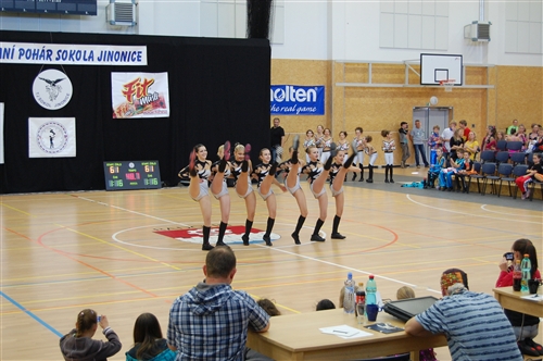 Obrázek v galerii