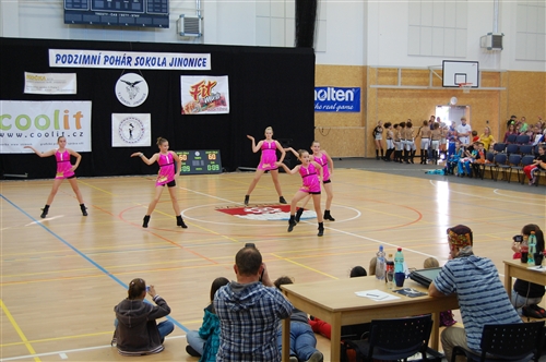 Obrázek v galerii
