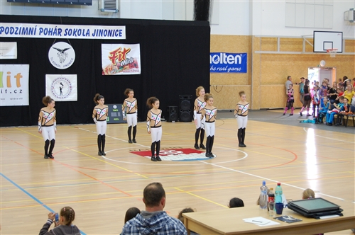 Obrázek v galerii
