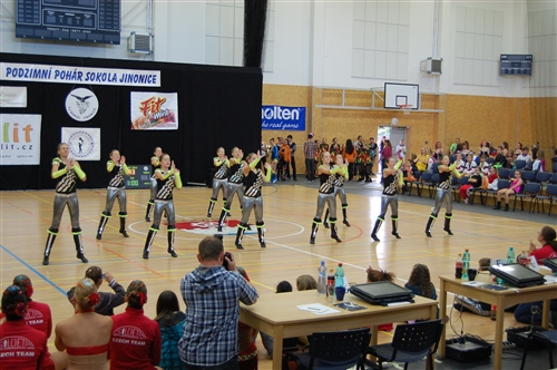 Obrázek v galerii