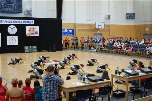Obrázek v galerii