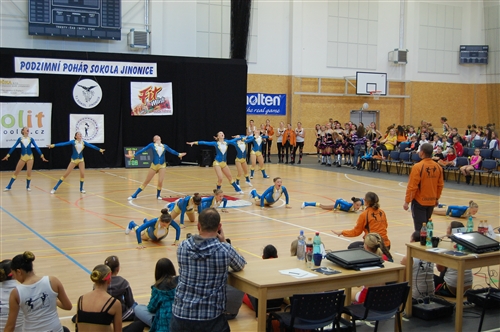 Obrázek v galerii