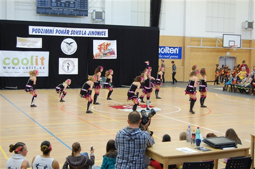 Obrázek v galerii
