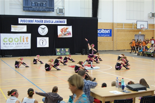 Obrázek v galerii