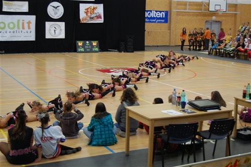 Obrázek v galerii