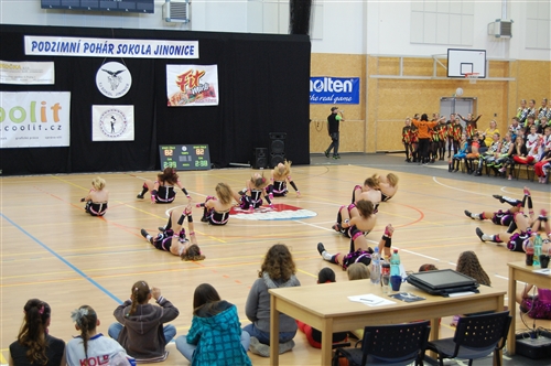 Obrázek v galerii