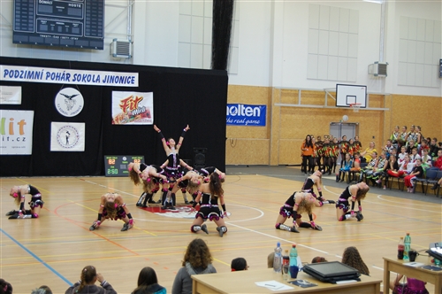 Obrázek v galerii