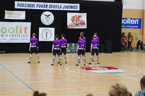 Obrázek v galerii
