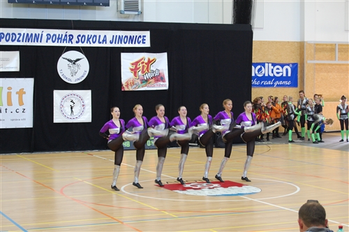 Obrázek v galerii