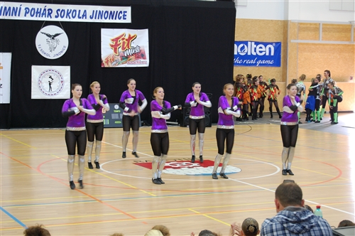 Obrázek v galerii