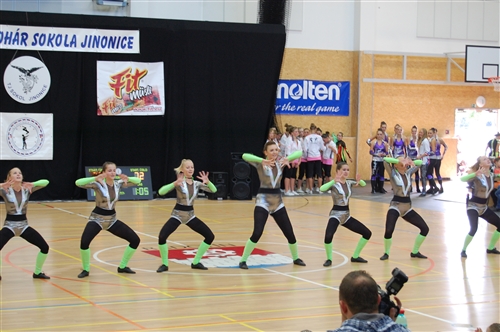 Obrázek v galerii